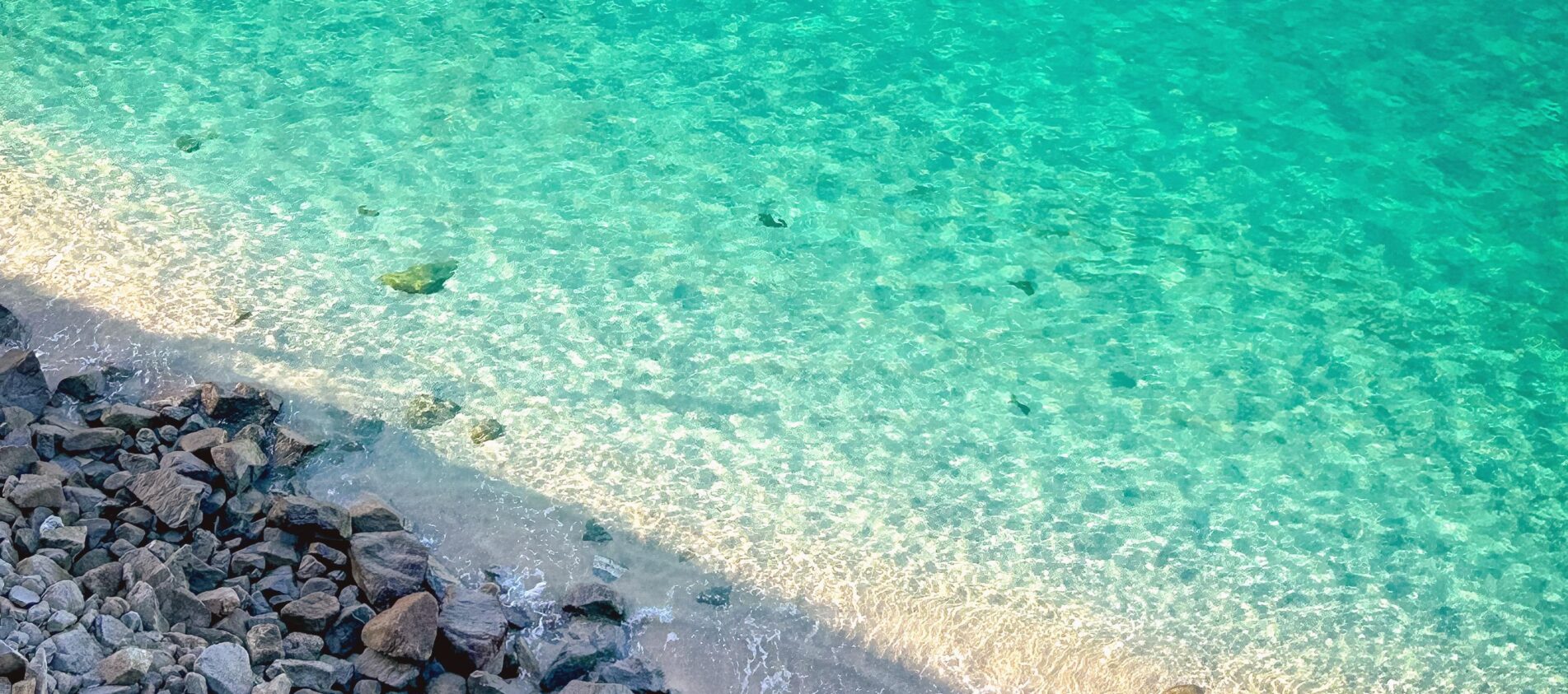 From Calabria to the World: Embracing My Roots